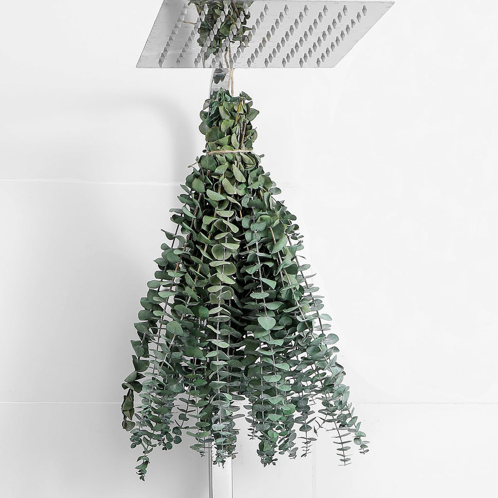 10PCS Dried Eucalyptus Stems 17" Real Leaves for Shower, Wedding & Home Decor