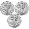 2025 American Silver Eagle Coin